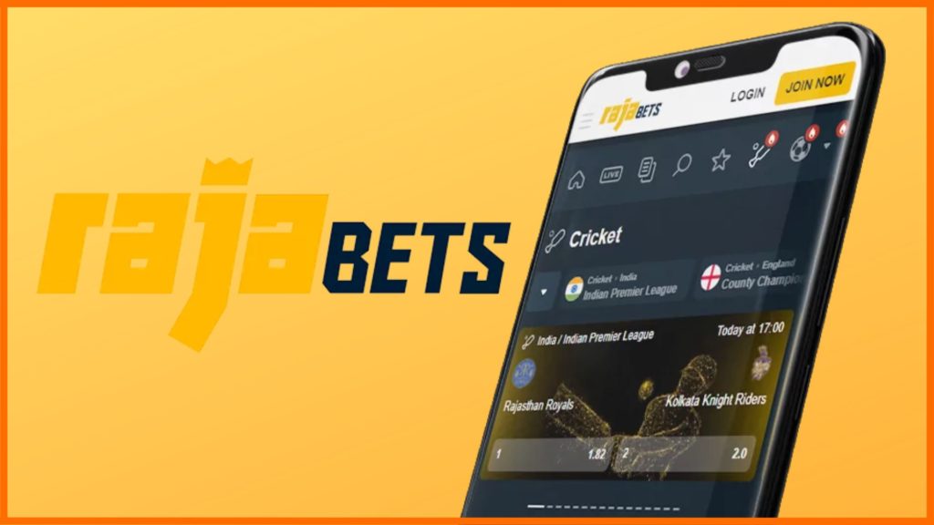 Rajabets India cricket betting application download