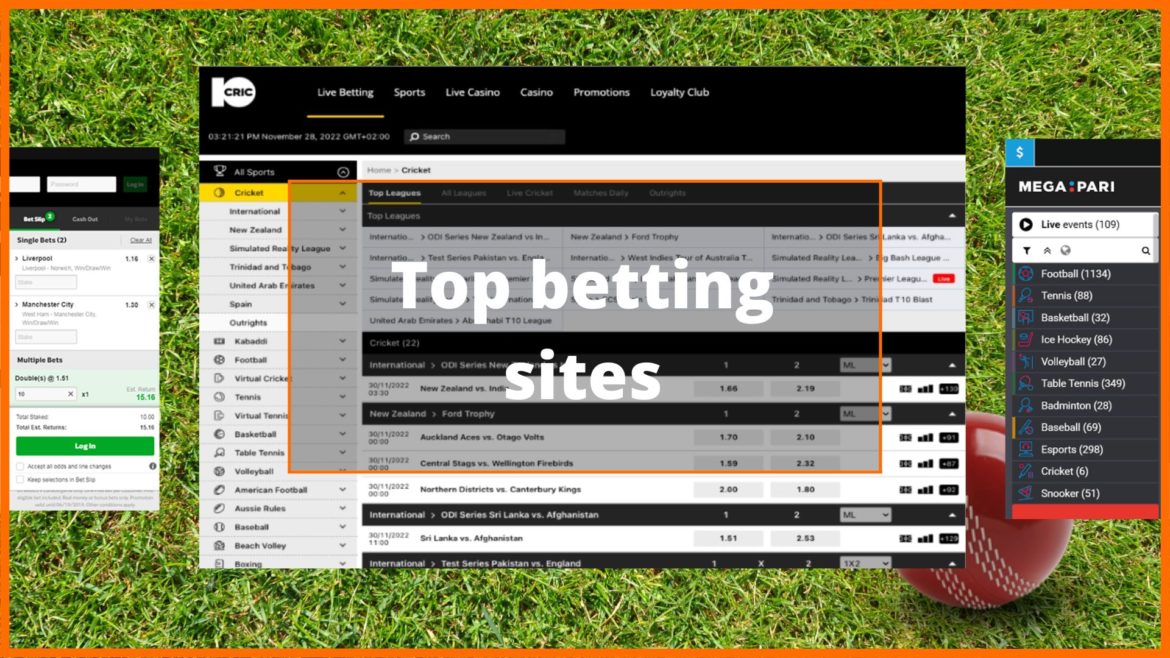Top sports betting websites in India overview