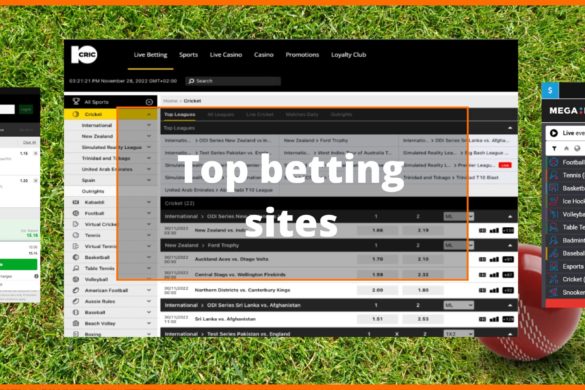 Top sports betting websites in India overview